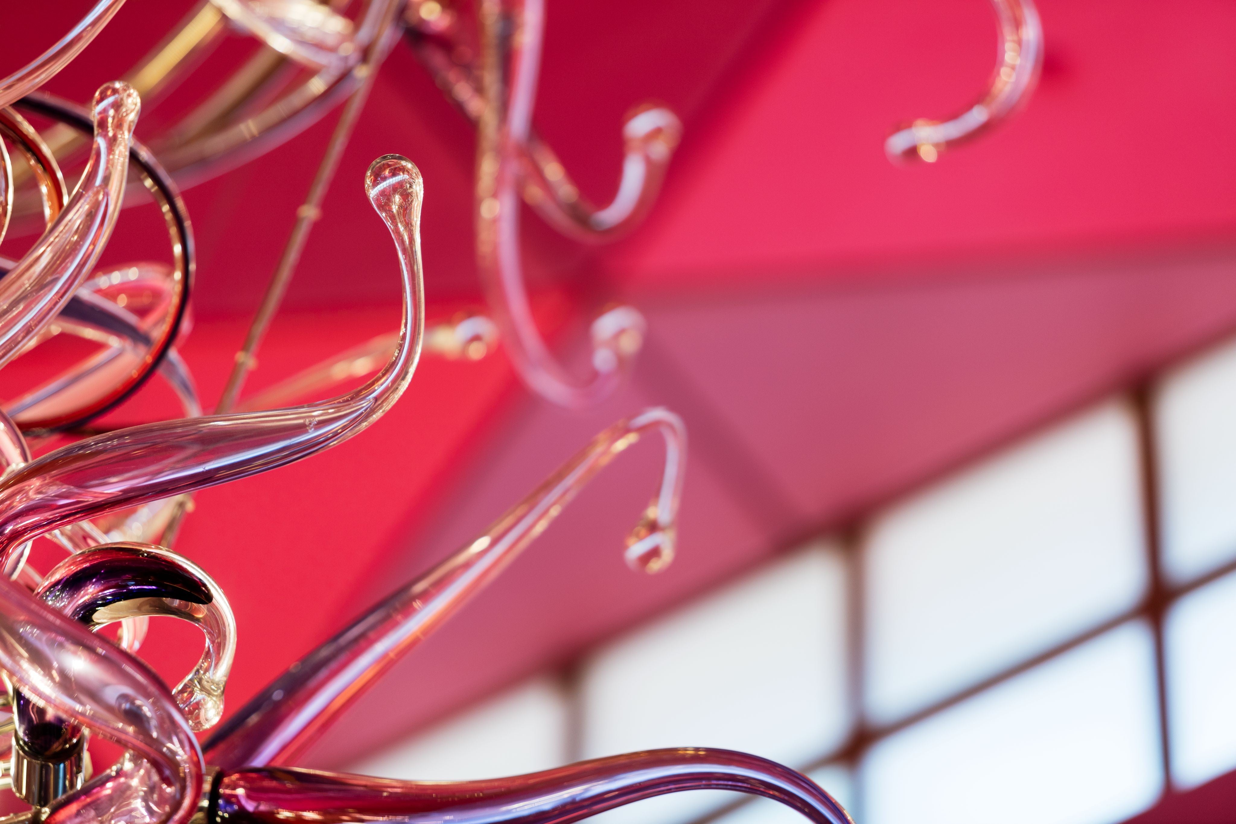 Steel Frame Pink Flower Project Installation