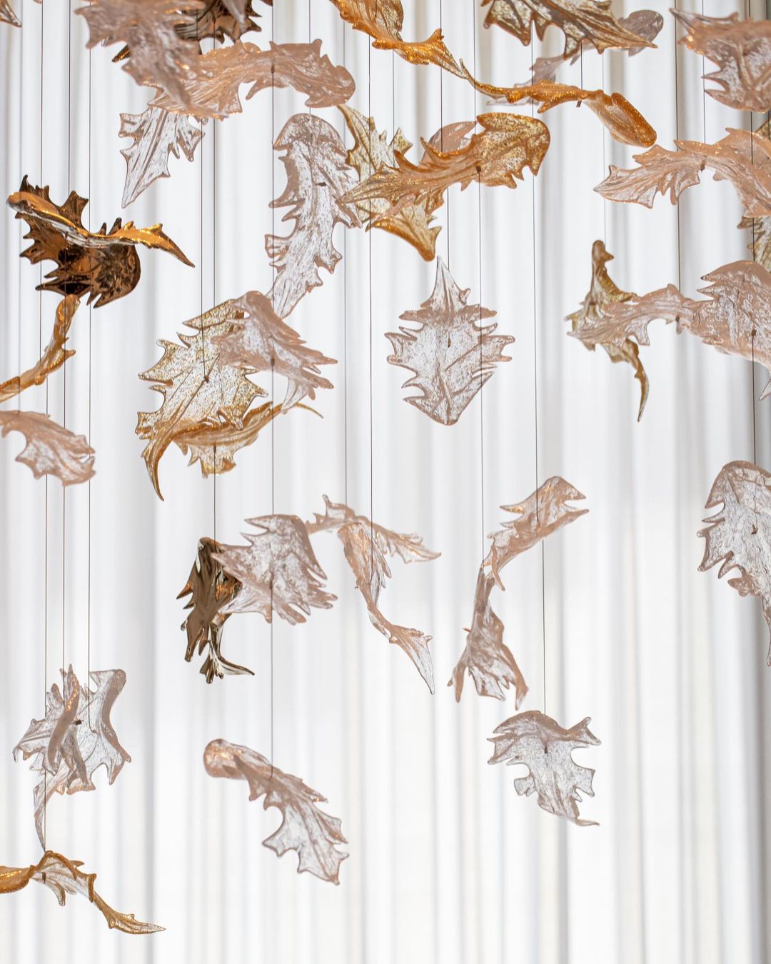 Ember Leaf Project Installation