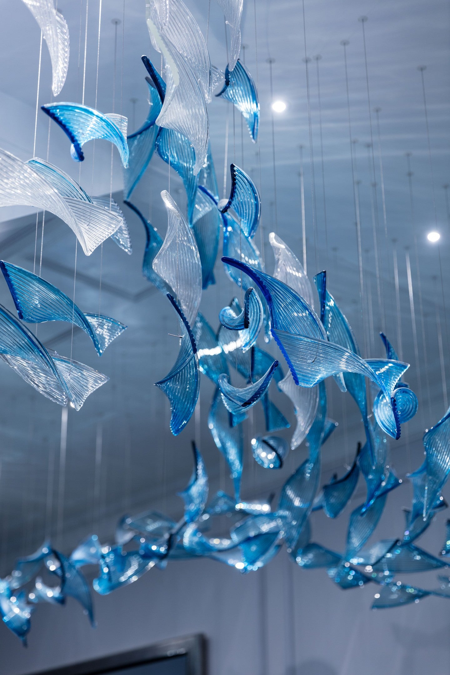 Floating Fin Project Installation