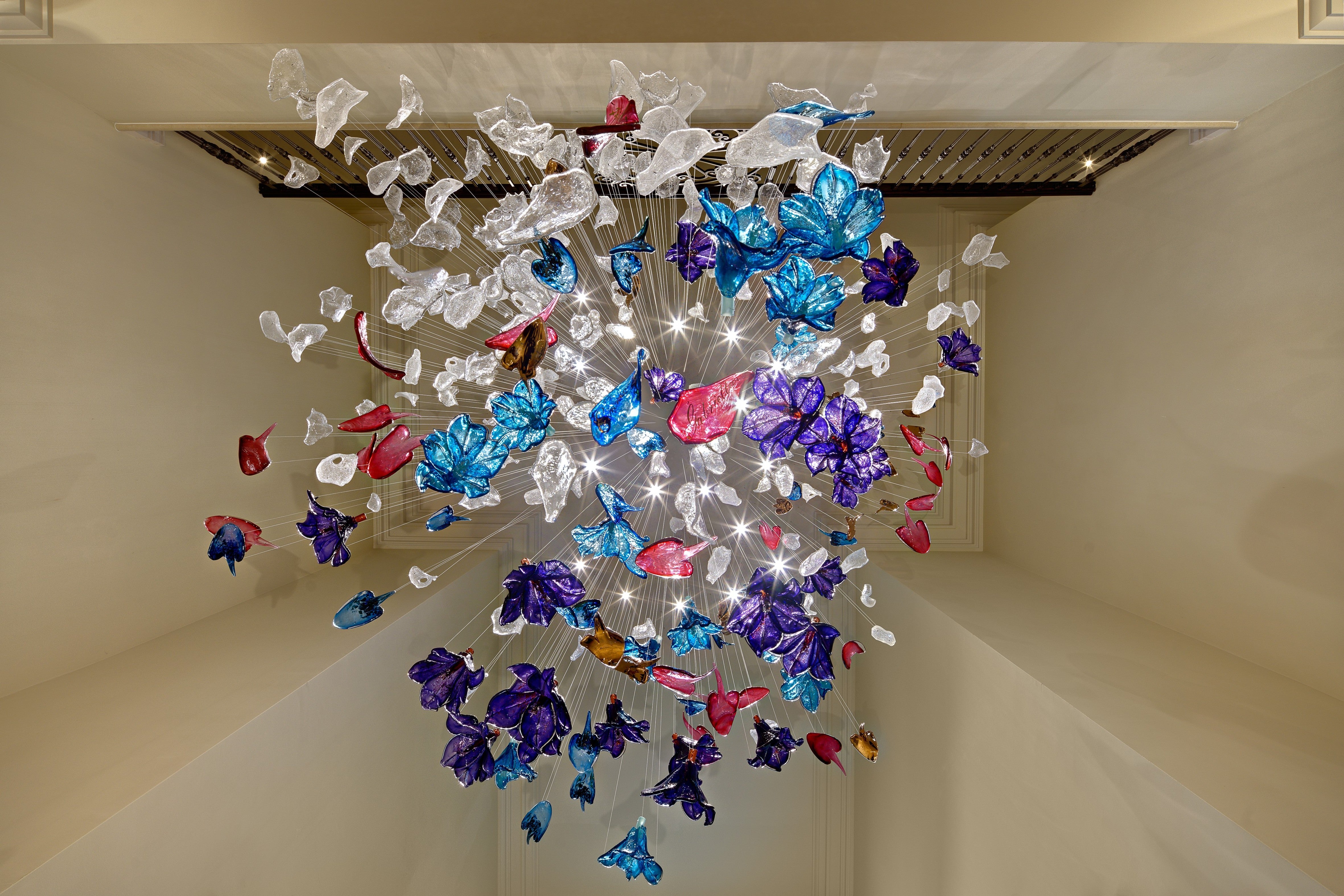 Bluebell Bloom Project Installation
