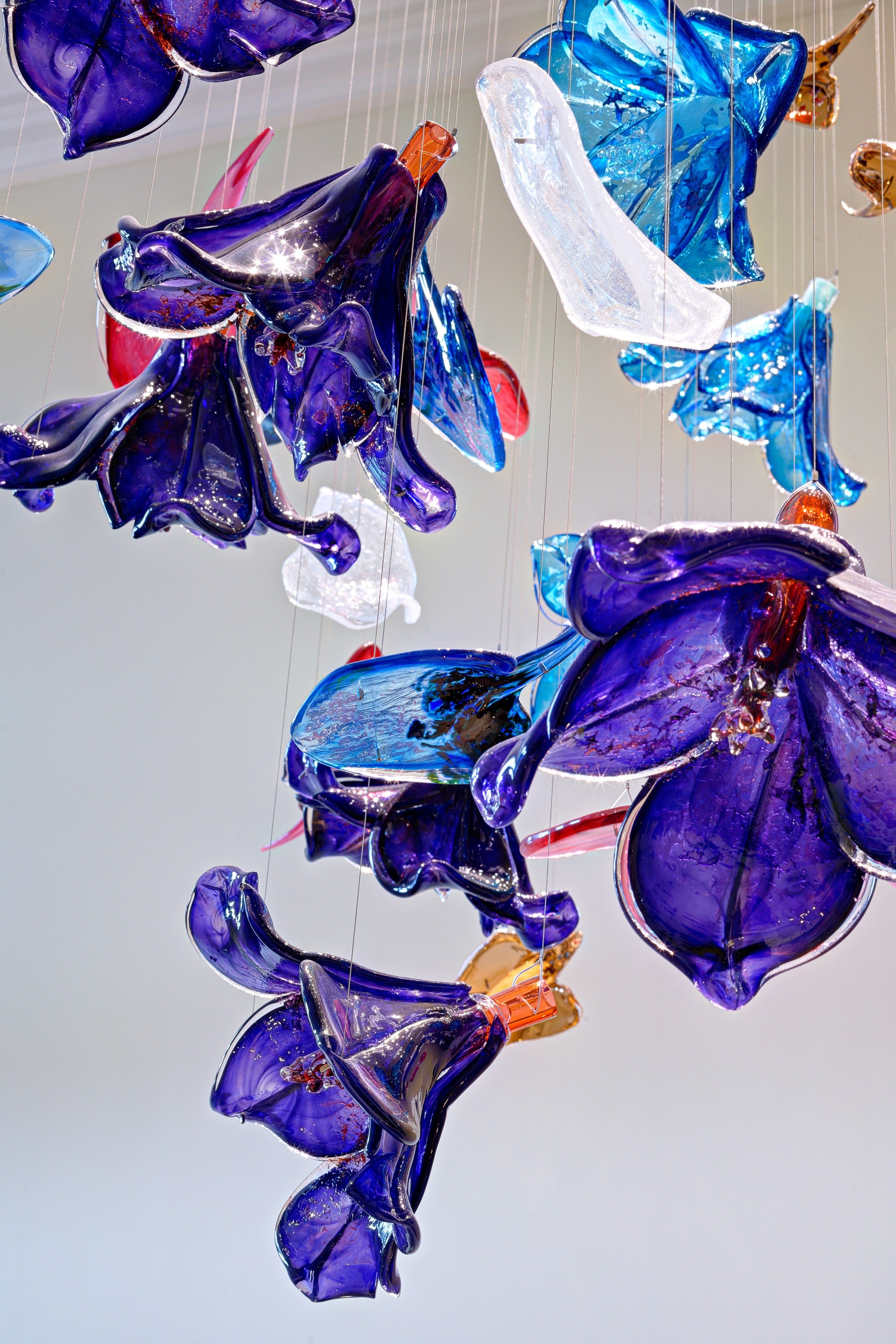 Bluebell Bloom Project Installation