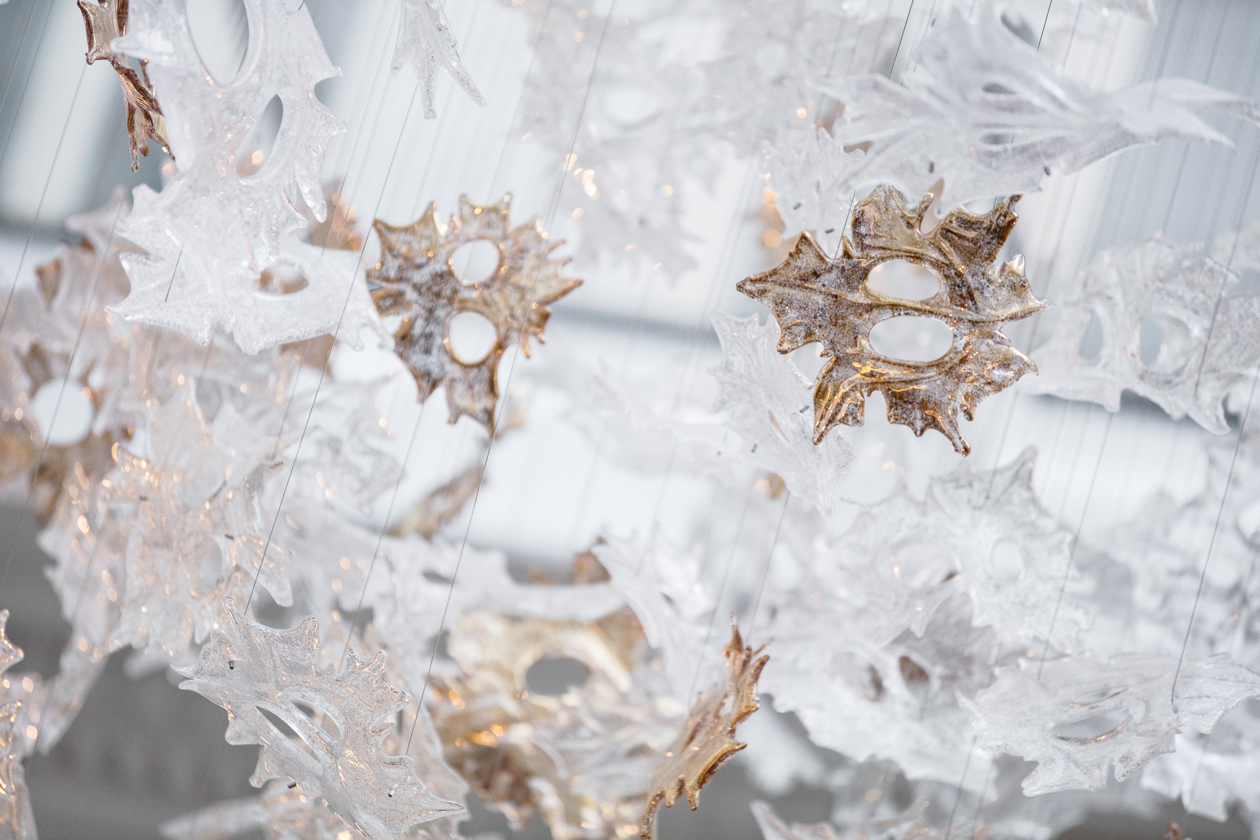 Irregular Maple Leaf Project Installation