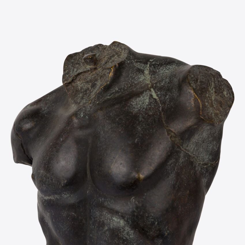 Magnano Large Bronze Torso