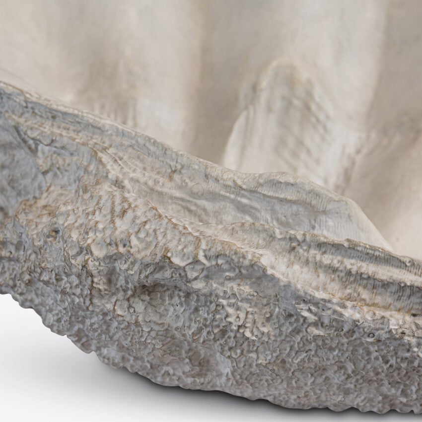 Conchiglio Medium Shell Decor decorative accessories view 7