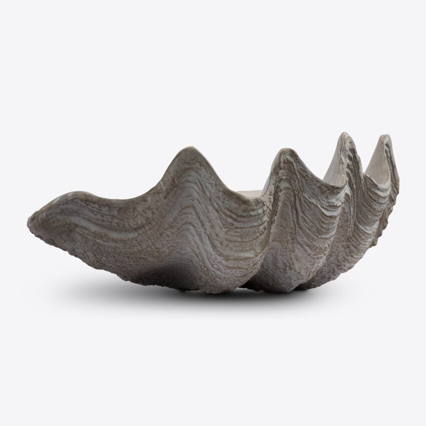 Conchiglio Small Shell Decor decorative accessories view 6