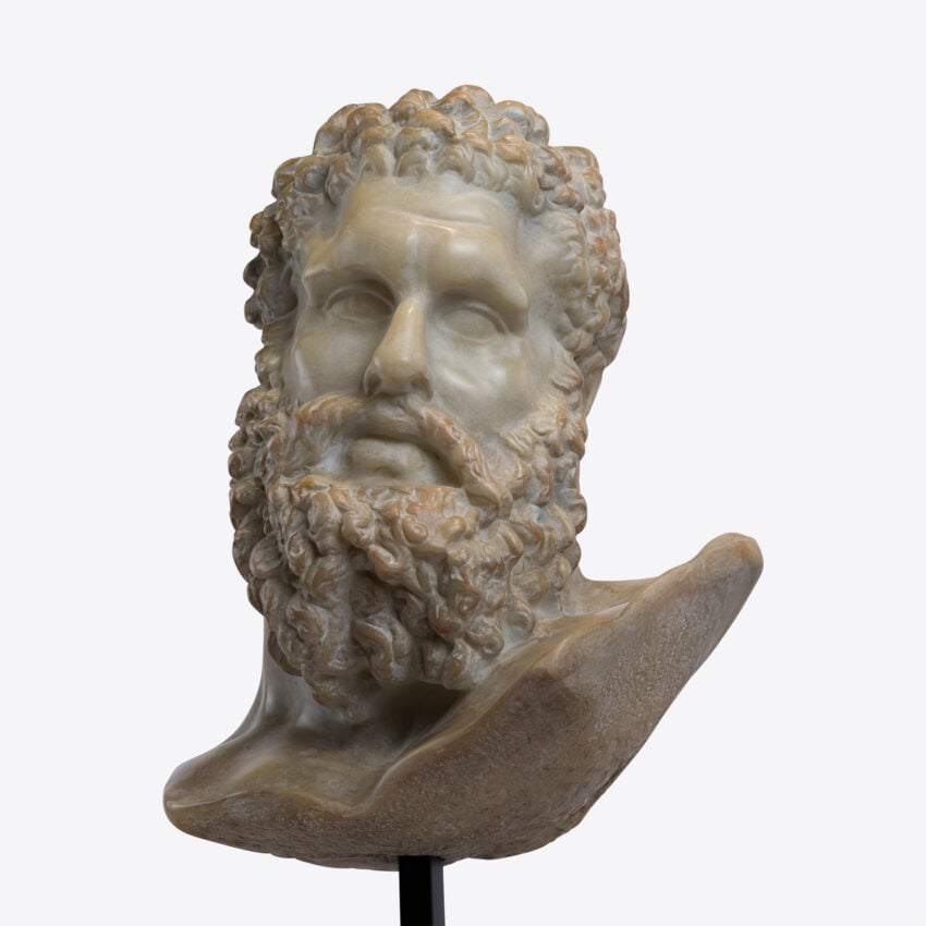 Ercole Bust Decor decorative accessories view 6