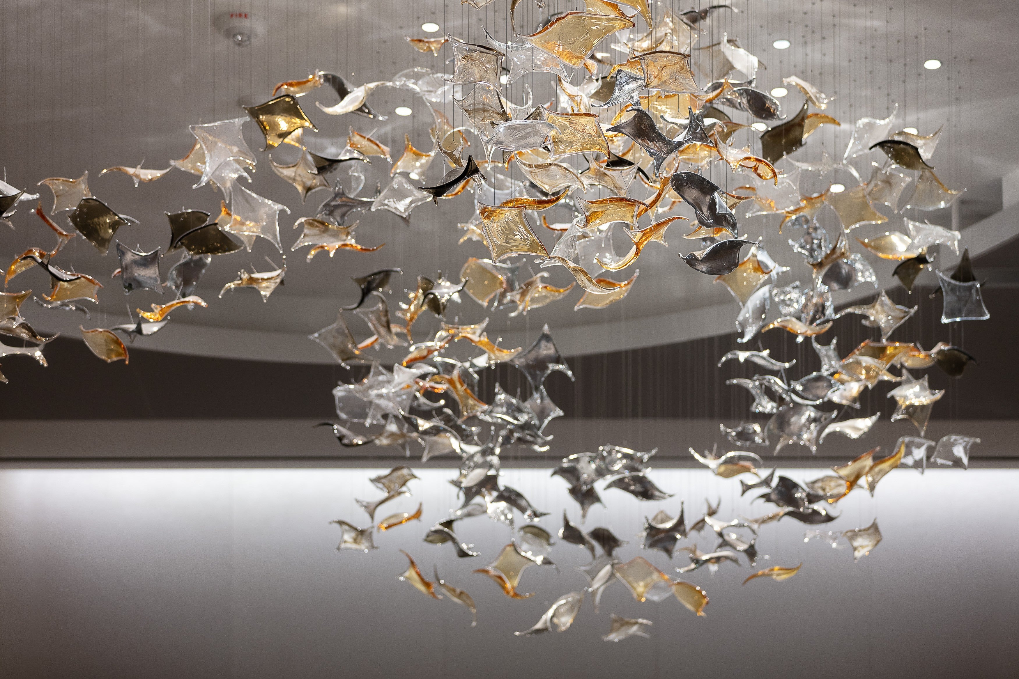 Manta Cascade Project Installation