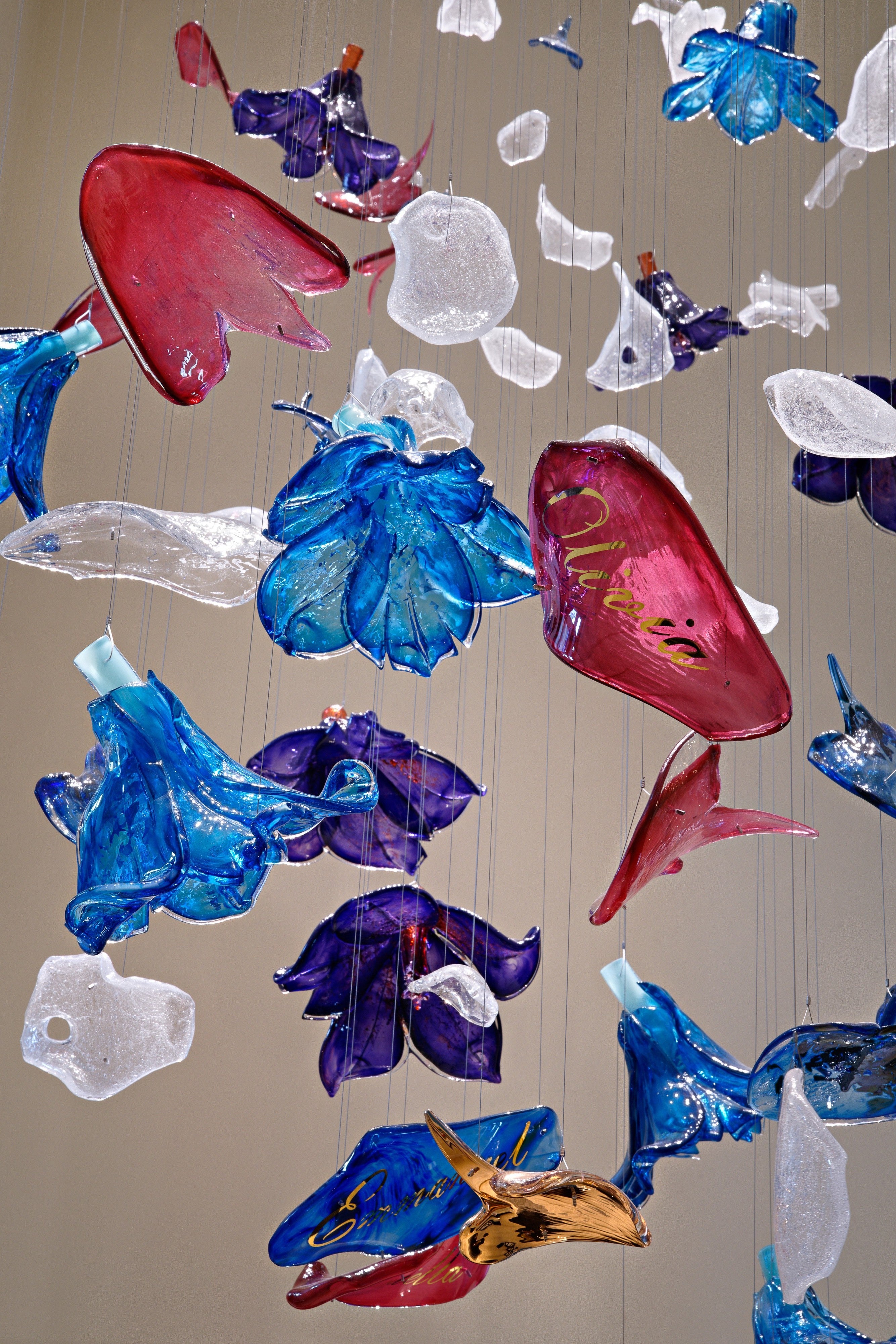 Bluebell Bloom Project Installation