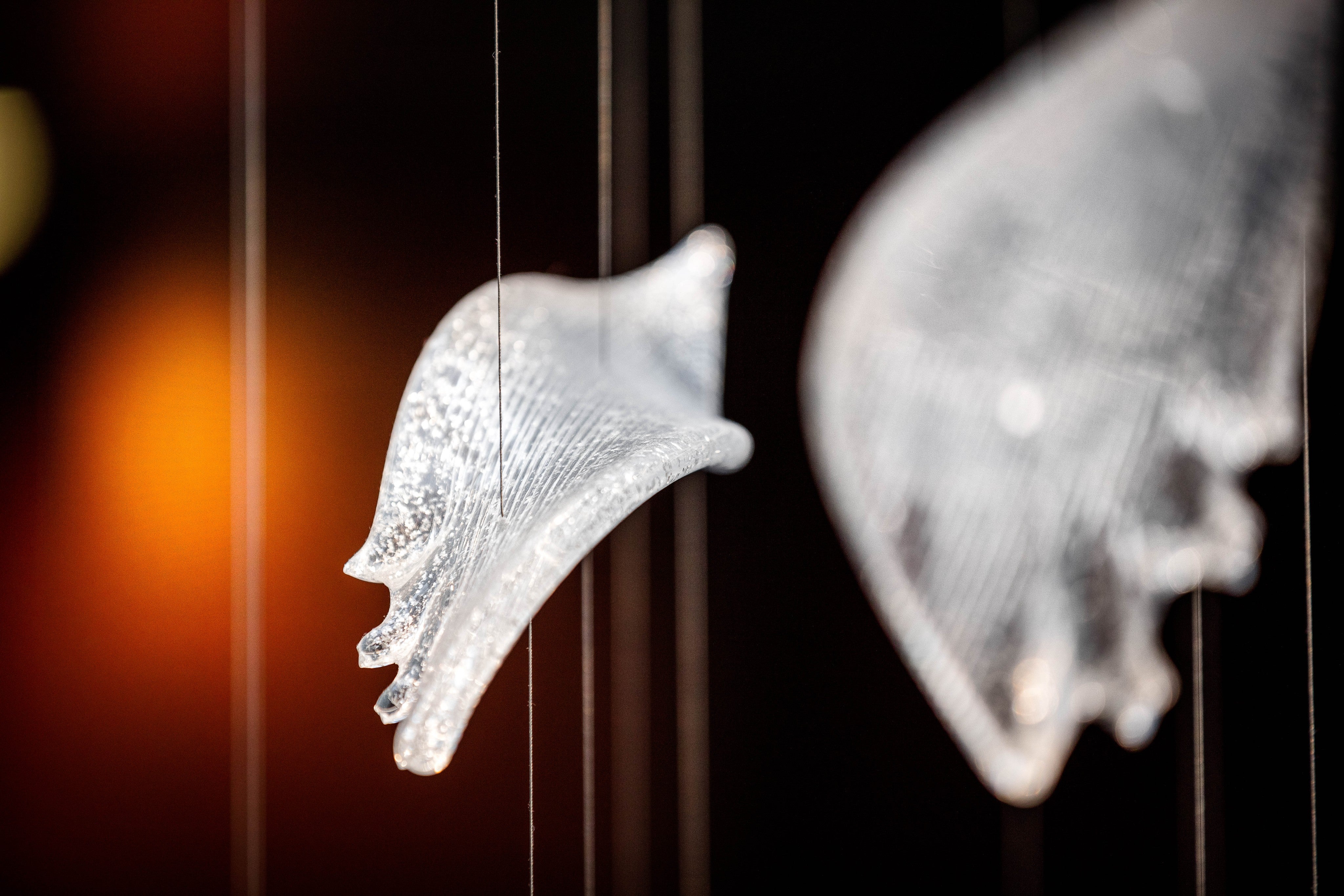 Petal Cascade Project Installation