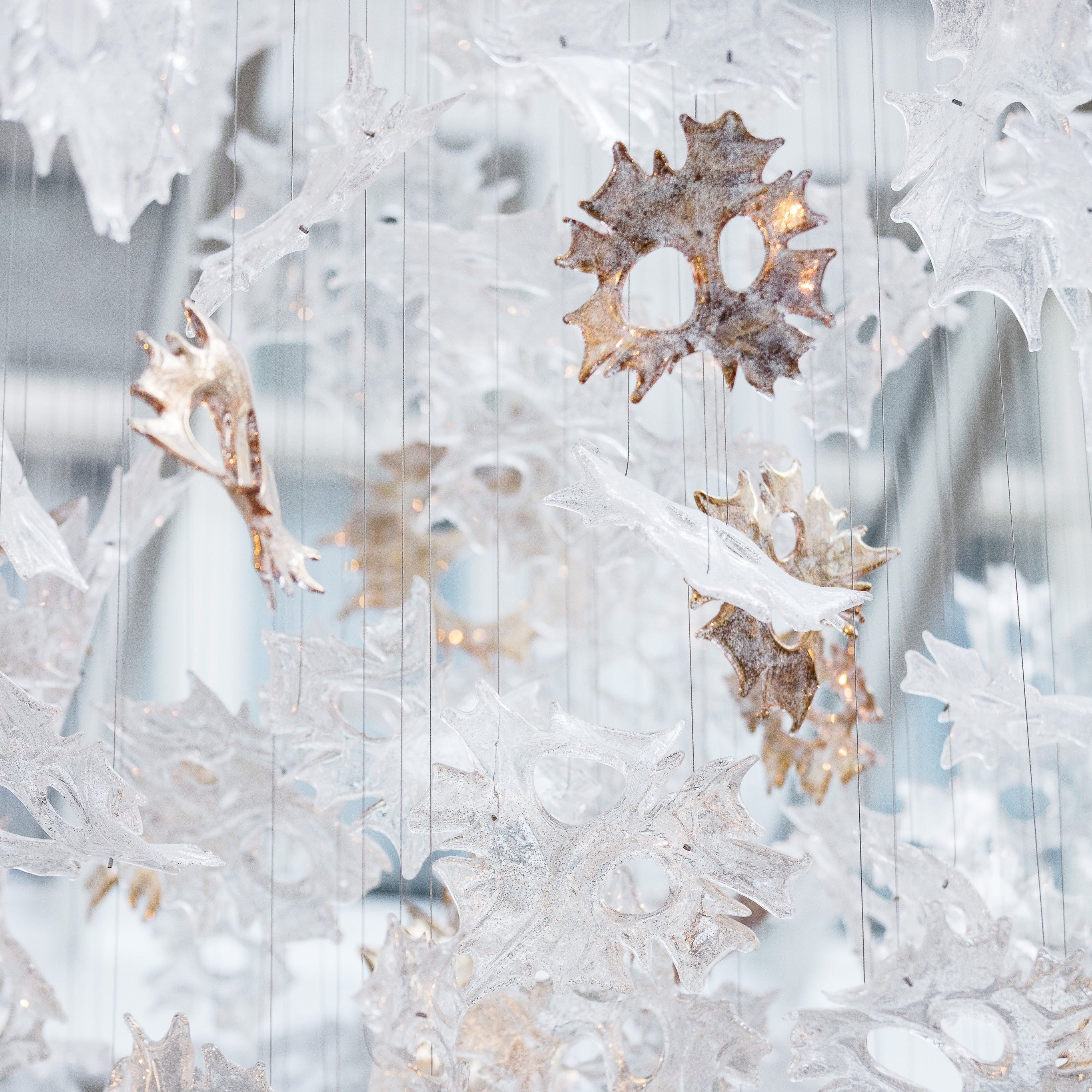Irregular Maple Leaf Project Installation
