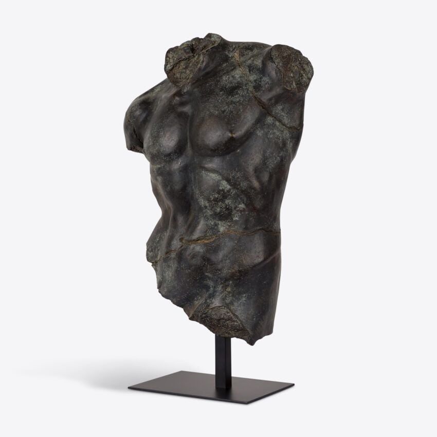 Magnano Large Bronze Torso