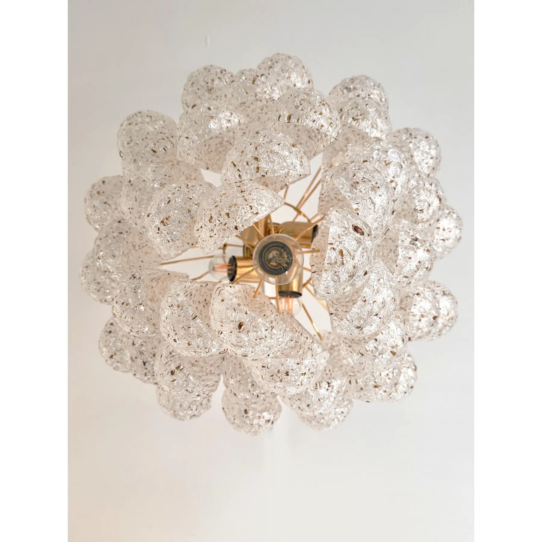 VORELLI Positano Conchiglie Murano Shell Glass Circular Chandelier - Conchiglie Murano Shell Glass image 3
