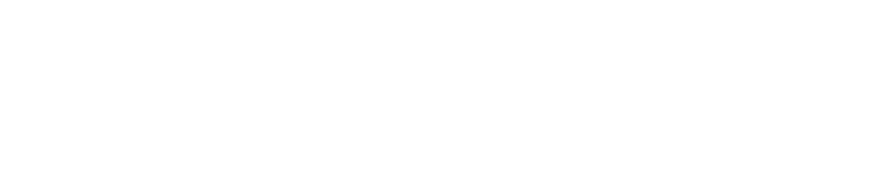VORELLI logo