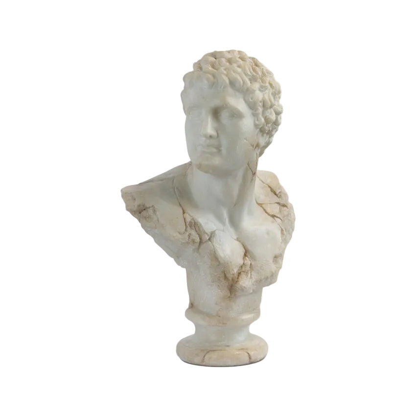 Apollo Bust Decor sculptures and busts view 3