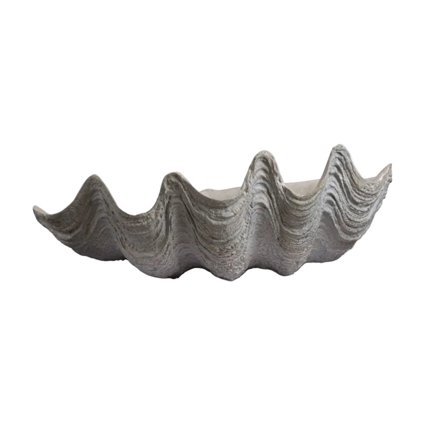 Conchiglio Medium Shell Decor decorative accessories view 3