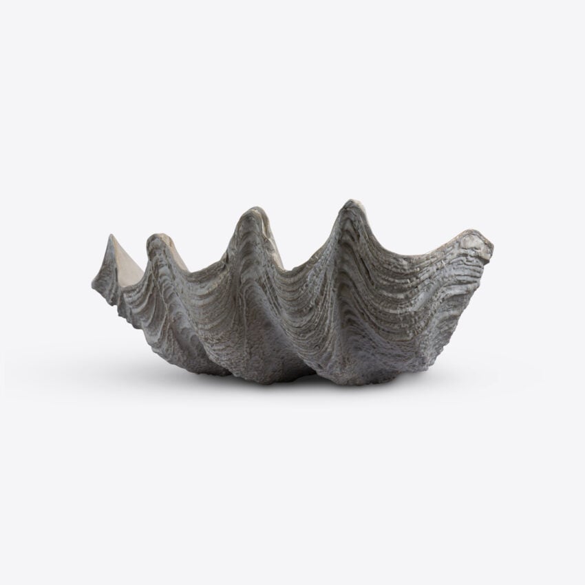 Conchiglio Medium Shell Decor decorative accessories view 4