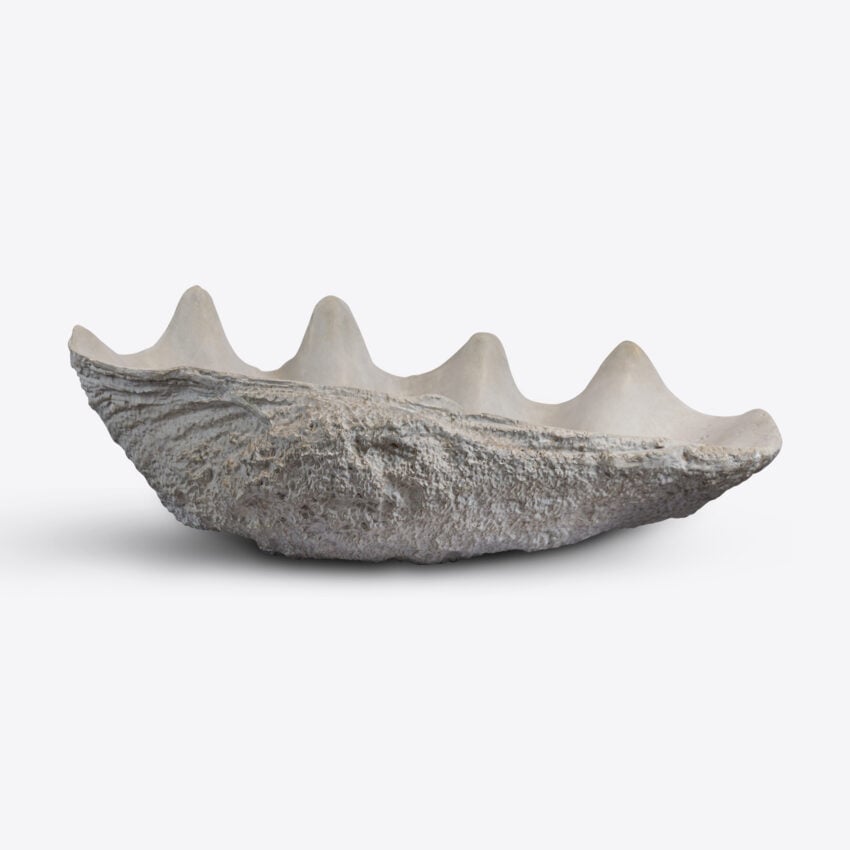 Conchiglio Medium Shell Decor decorative accessories view 5