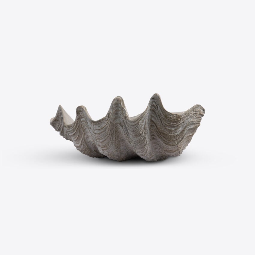 Conchiglio Small Shell Decor decorative accessories view 3