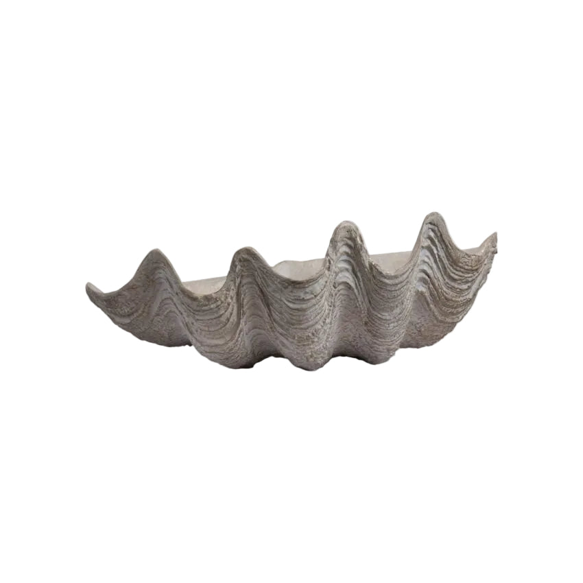 Conchiglio Small Shell Decor decorative accessories view 4