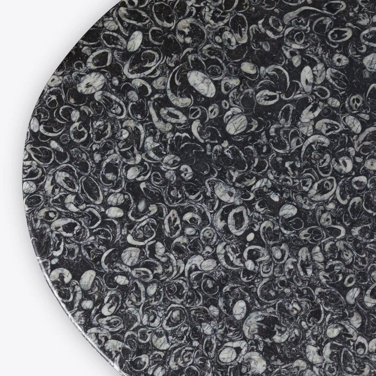 Nisha Fossil Black Marble Dining Table dining table view 8