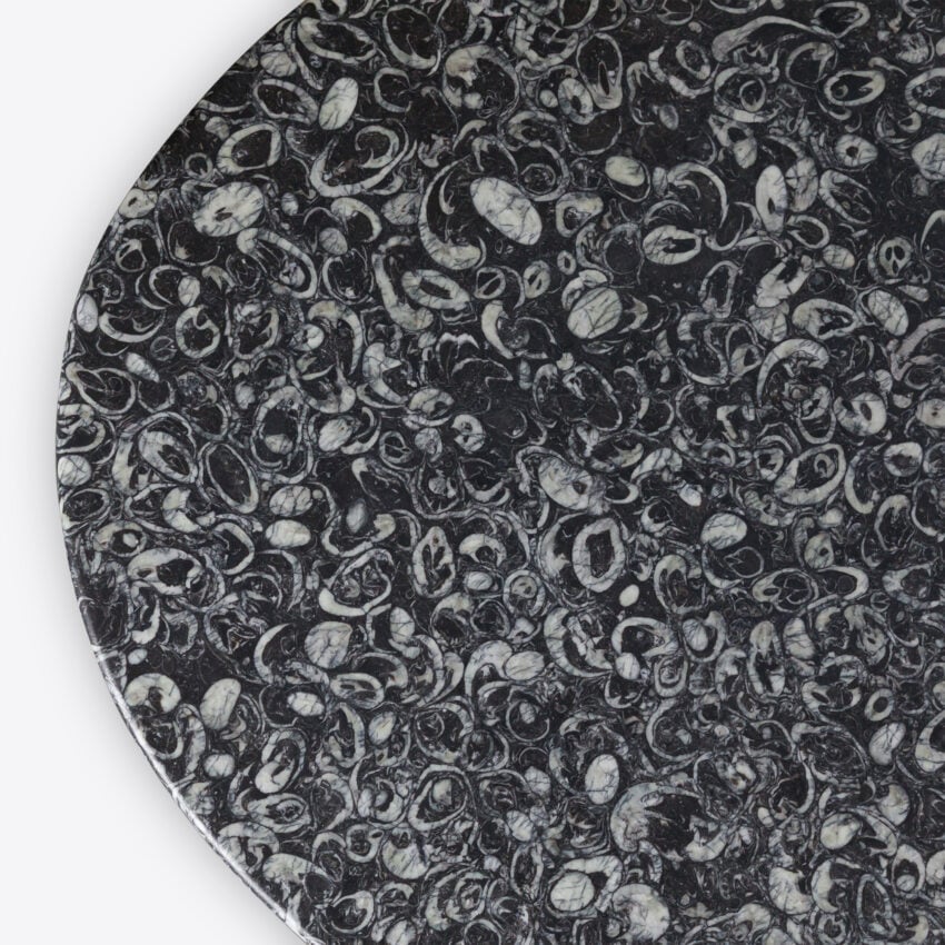 Nisha Fossil Black Marble Dining Table dining table view 8